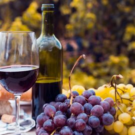 Vinos